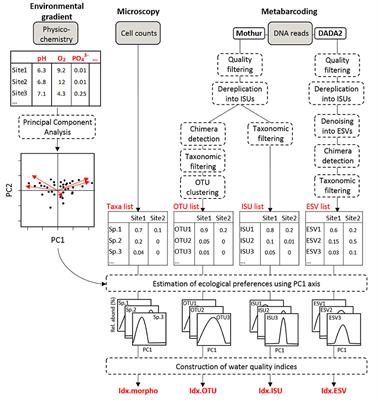 Diatom DNA Metabarcoding for Biomonitoring: Strategies to Avoid Major Taxonomical and Bioinformatical Biases Limiting Molecular Indices Capacities